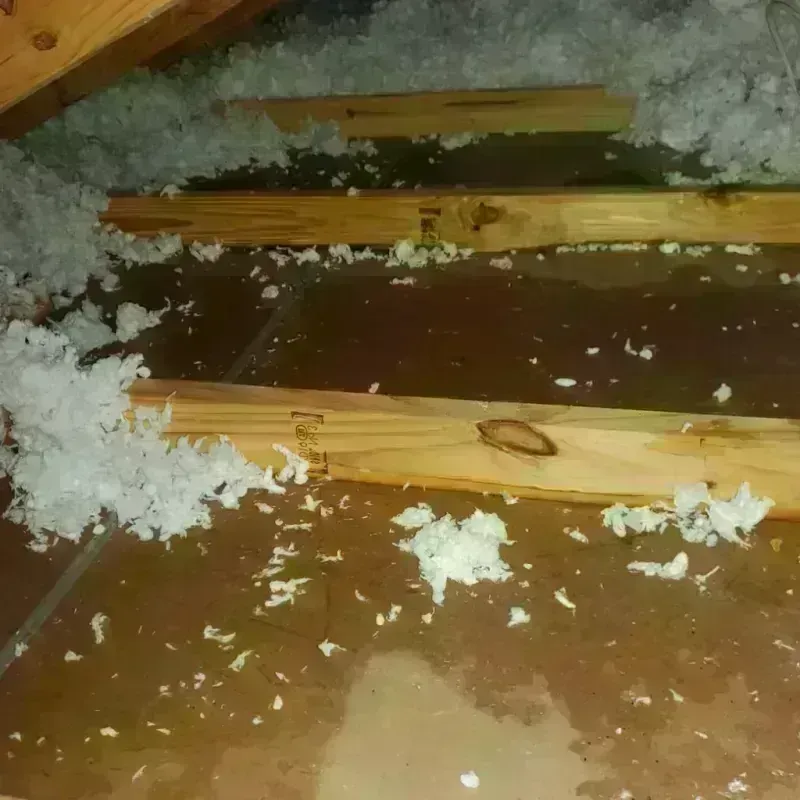 Attic Water Damage in Fredericksburg, VA